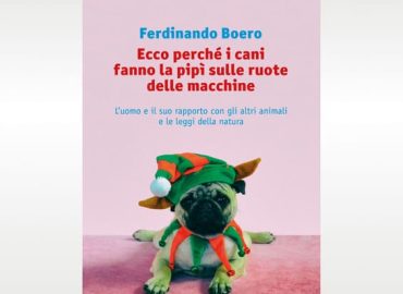 Perchè i cani fanno la pipì sulle ruote delle macchine