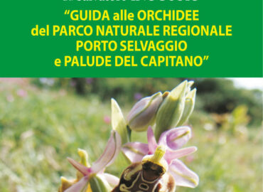 2013 GUIDA ALLE ORCHIDEE DI PORTO SELVAGGIO